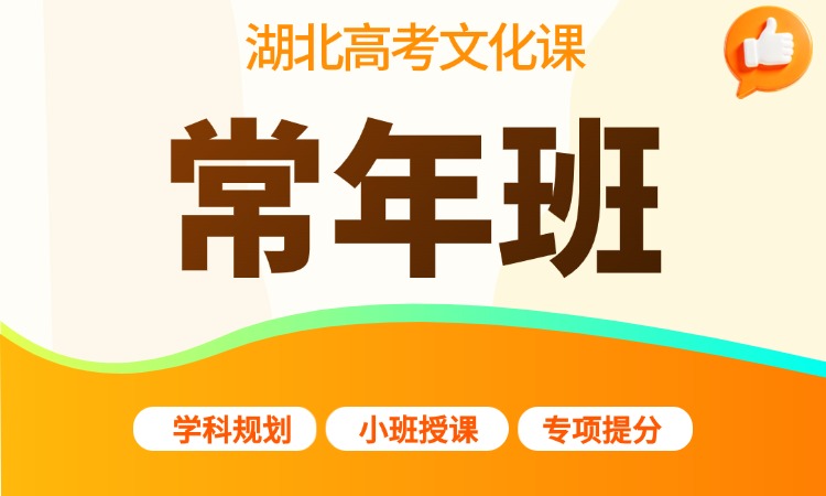 高考文化课常年班